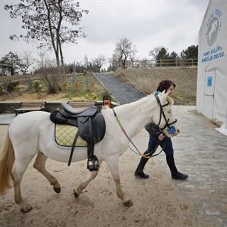 باشگاه ورزشی