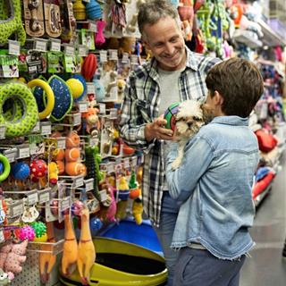 حیوانات خانگی