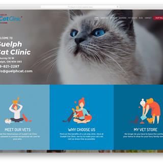 نمونه طراحی سایت دامپزشکی