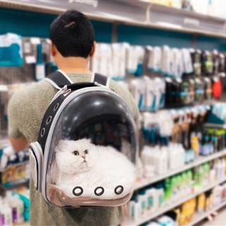 حیوانات خانگی