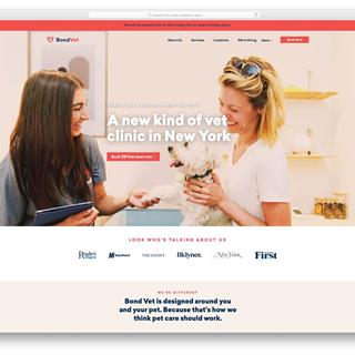 نمونه طراحی سایت دامپزشکی