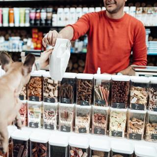 حیوانات خانگی