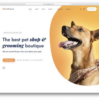 نمونه طراحی سایت حیوانات خانگی