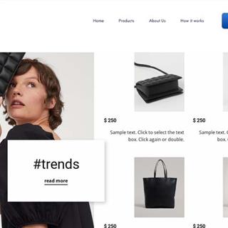 نمونه طراحی سایت کیف فروشی