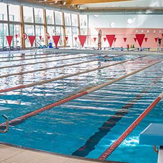 طراحی وب سایت استخر