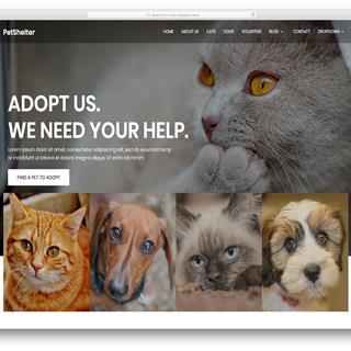 نمونه طراحی سایت حیوانات خانگی