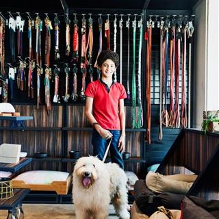 حیوانات خانگی