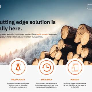 طراحی سایت لوازم چوبی