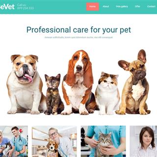 نمونه طراحی سایت دامپزشکی