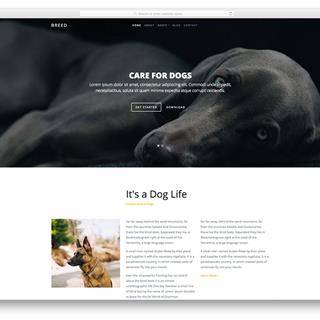 نمونه طراحی سایت حیوانات خانگی