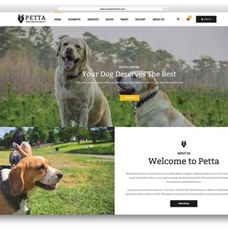 نمونه طراحی سایت حیوانات خانگی