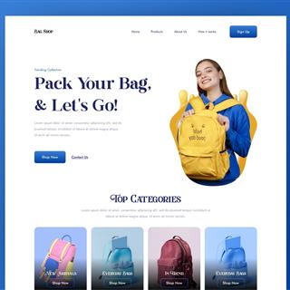 نمونه طراحی سایت کیف فروشی