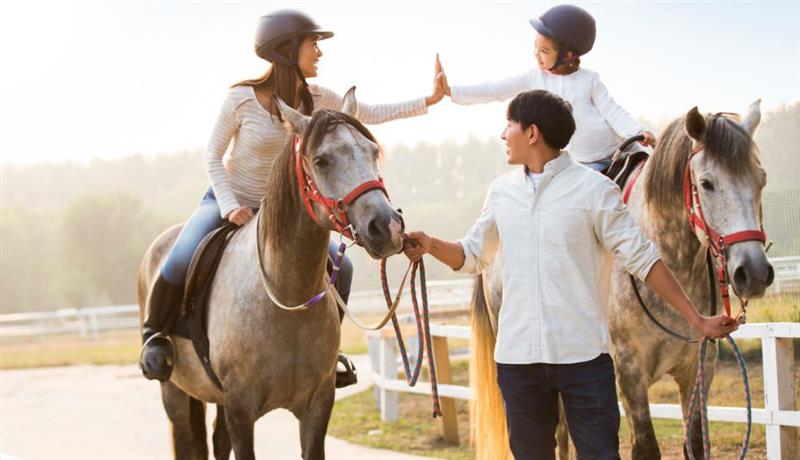 طراحی سایت باشگاه ورزشی