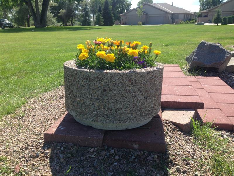 طراحی سایت بتن سازی