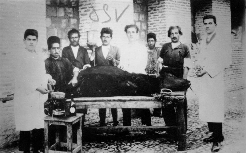 تاریخچه دامپزشکی در ایران