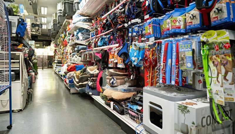 طراحی سایت حیوانات خانگی