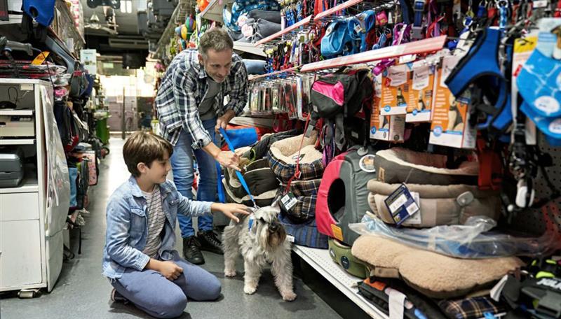 طراحی سایت حیوانات خانگی